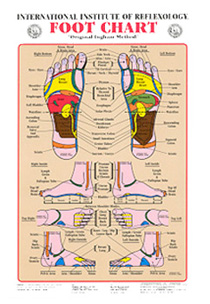 Foot Chart